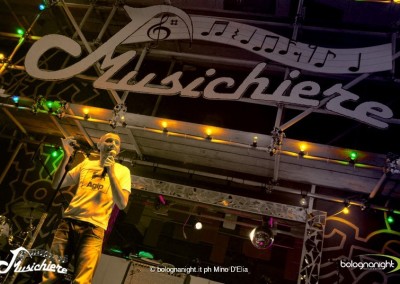 11DSC_0039